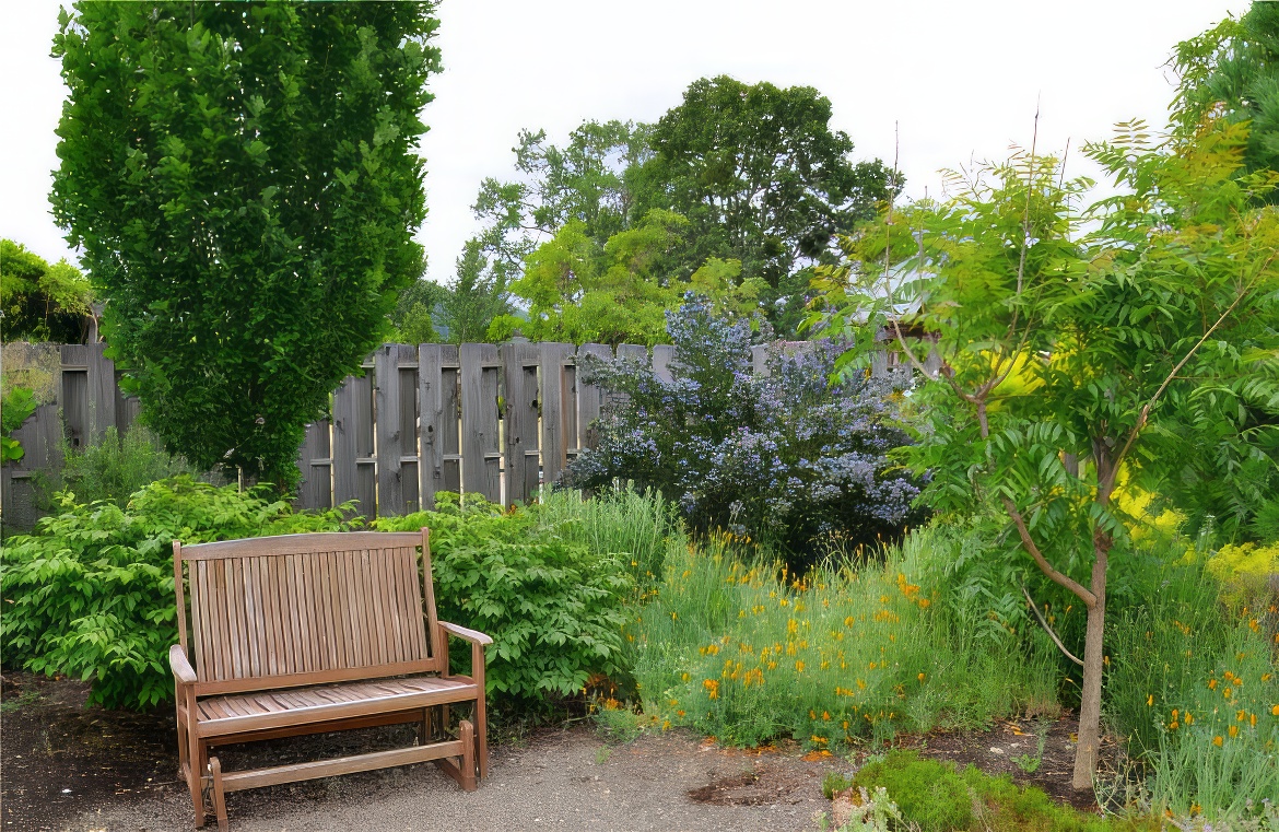 Wood Bench