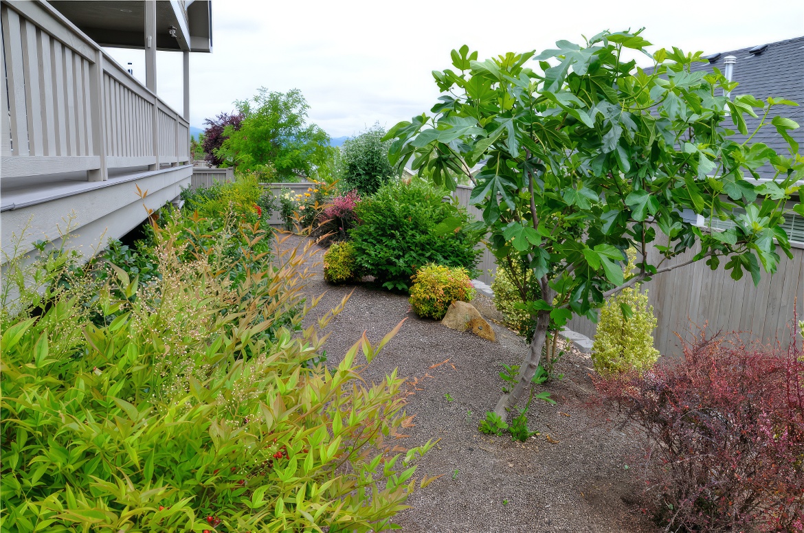 Long Stretch of Nandina