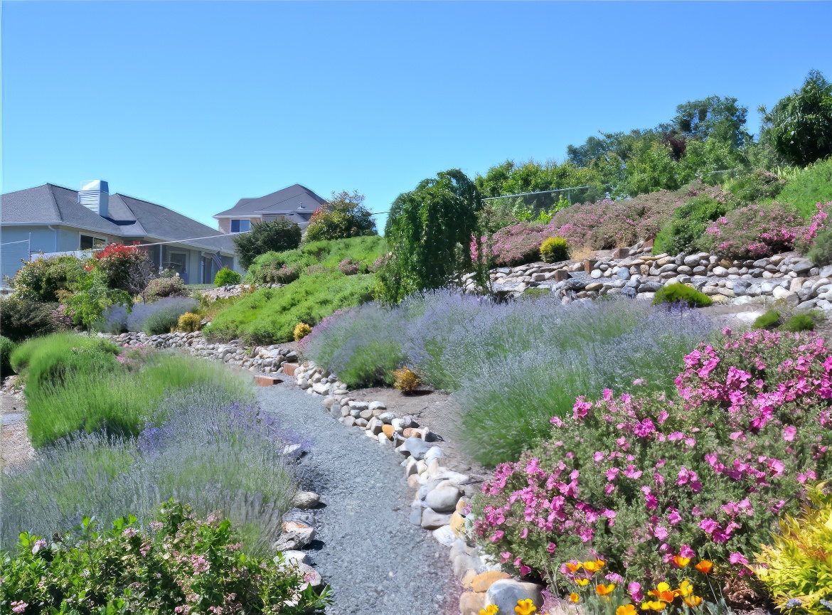 Gravel Path on Hillside