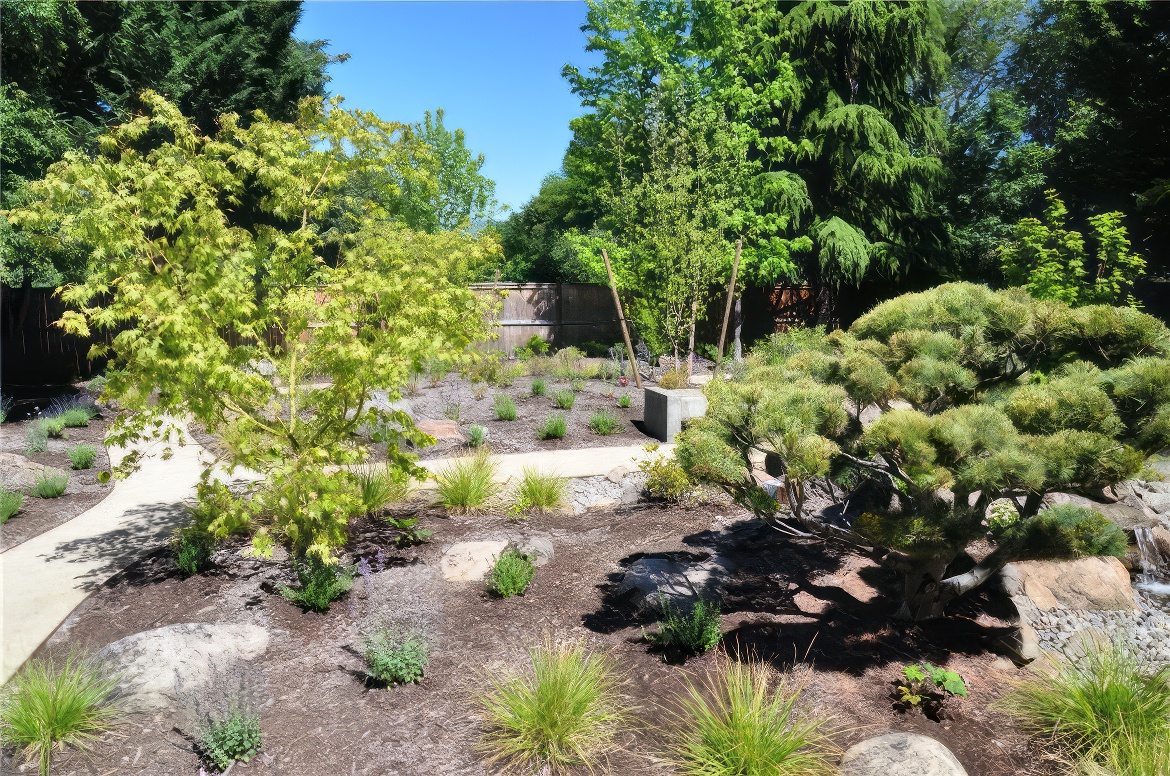 Serene Path Through Garden