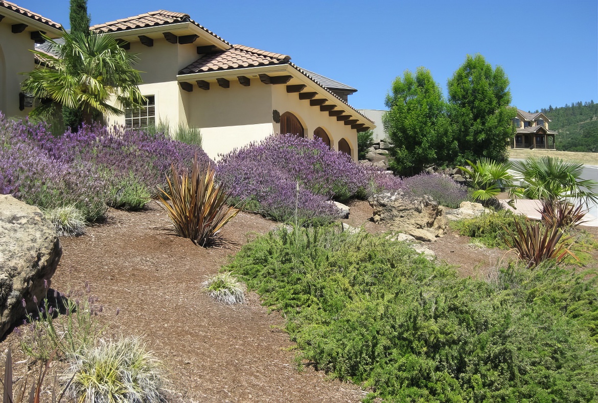 Mulched Hillside