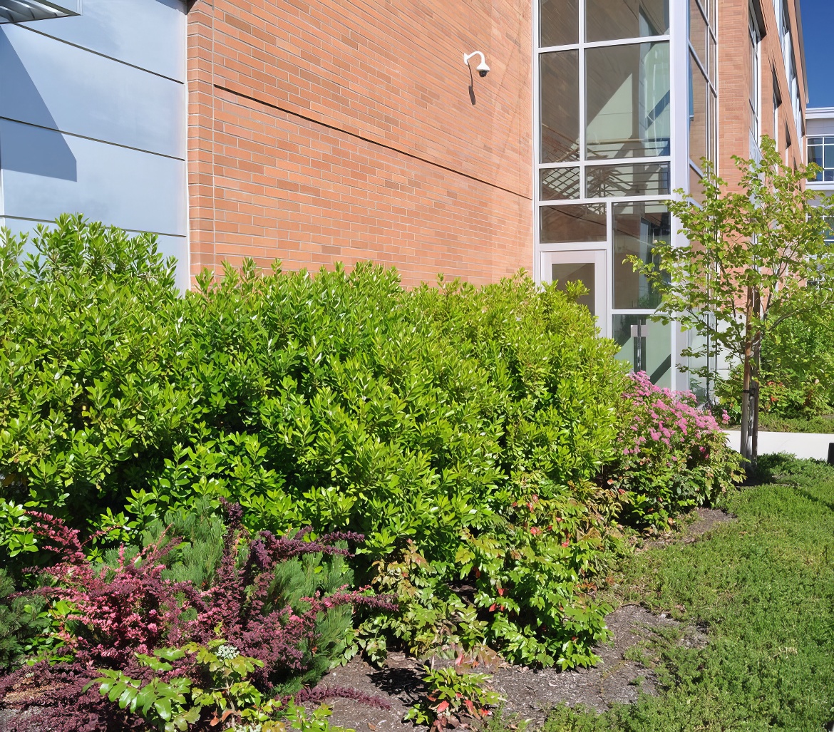 Tall Brick Wall with Plantings