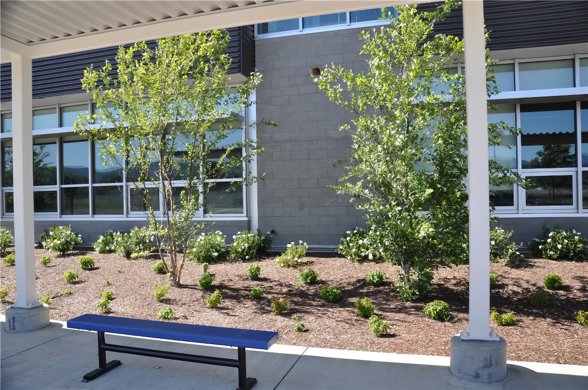 Blue Bench