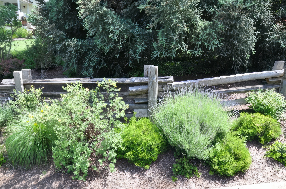 Split Rail Fence Southern Oregon