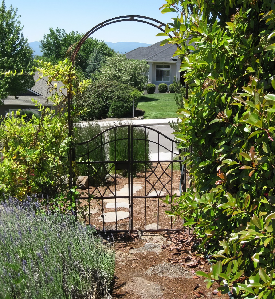 Airy Metal Garden Gate