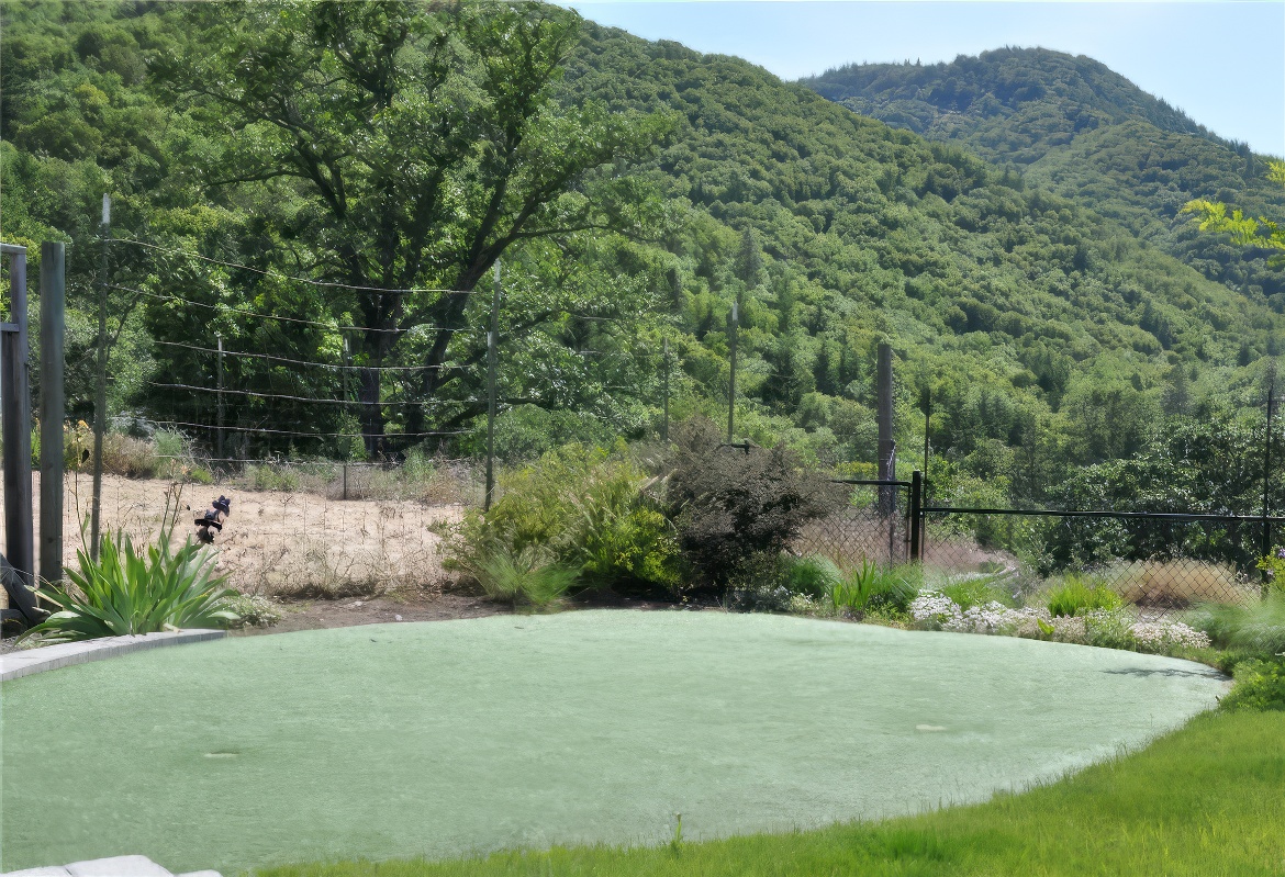 Putting Green