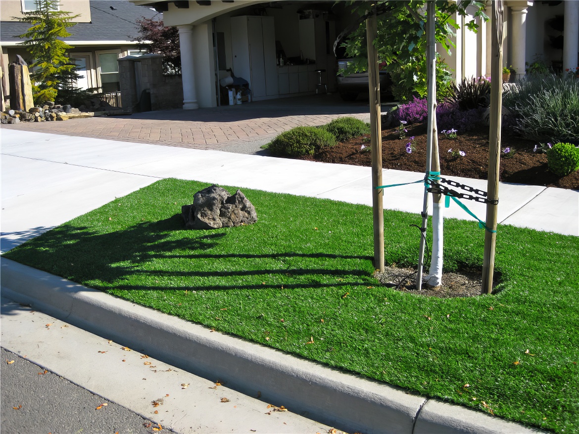 Artificial Turf and Real Rock