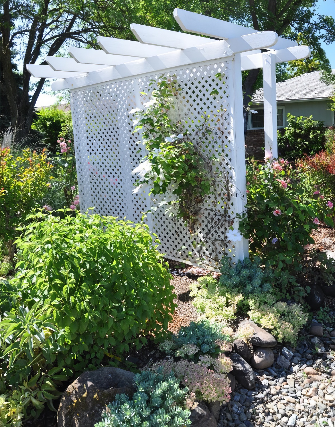 Trellis and Arbor