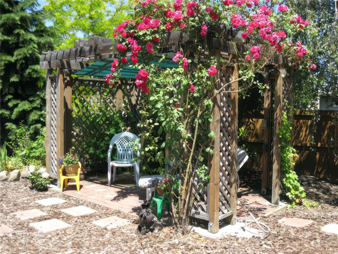 Roses Vine Over Gazebo