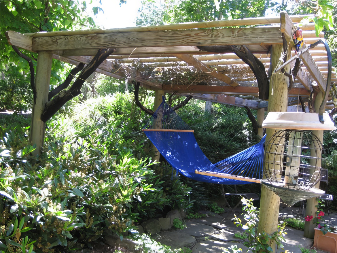 Blue Hammock Swing