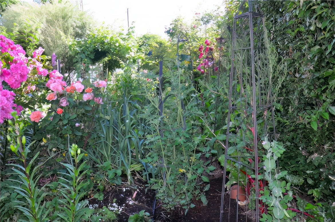 Obelisks for Vegetables