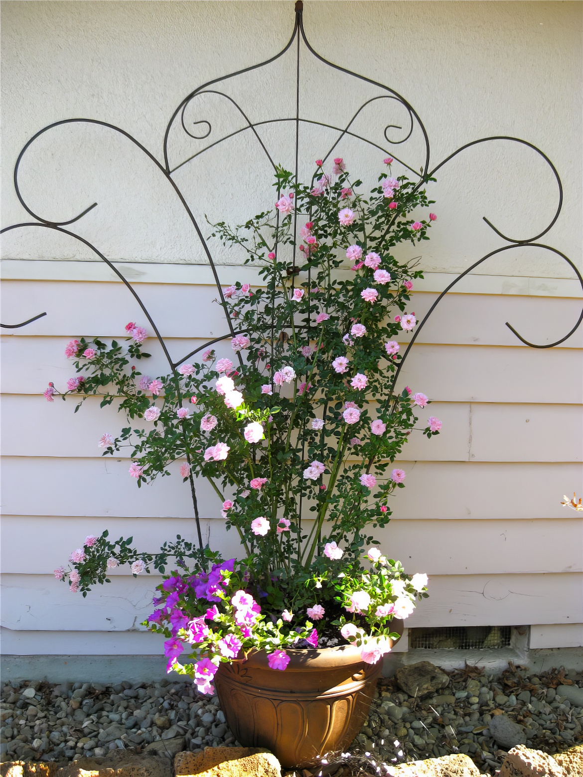 Pink Bouquet