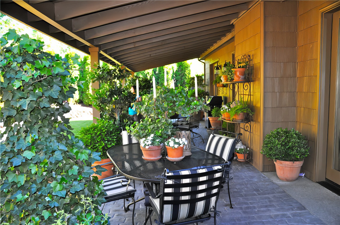 Back Yard Dining