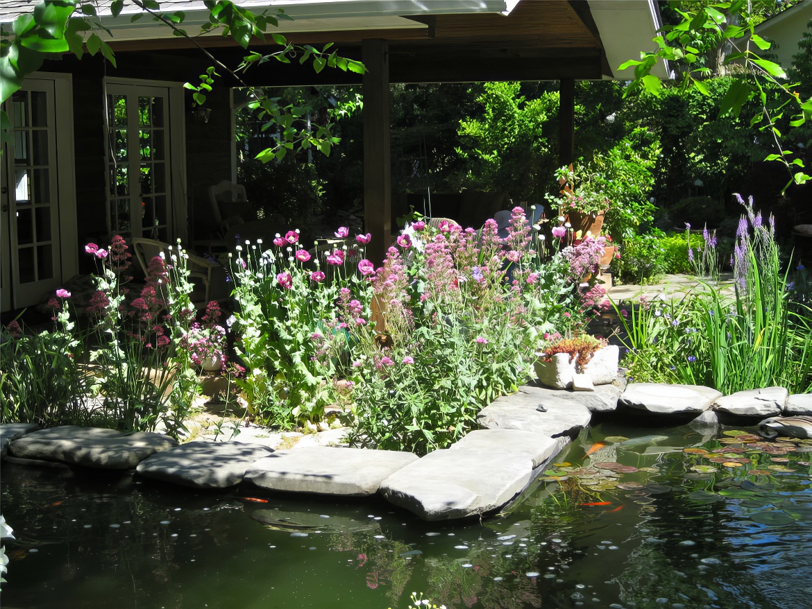 Pond and Flower Patch