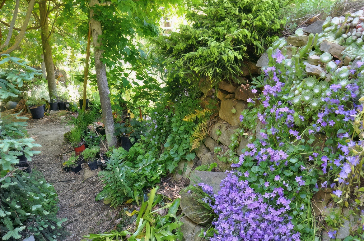 Rock Wall All Green and Blue