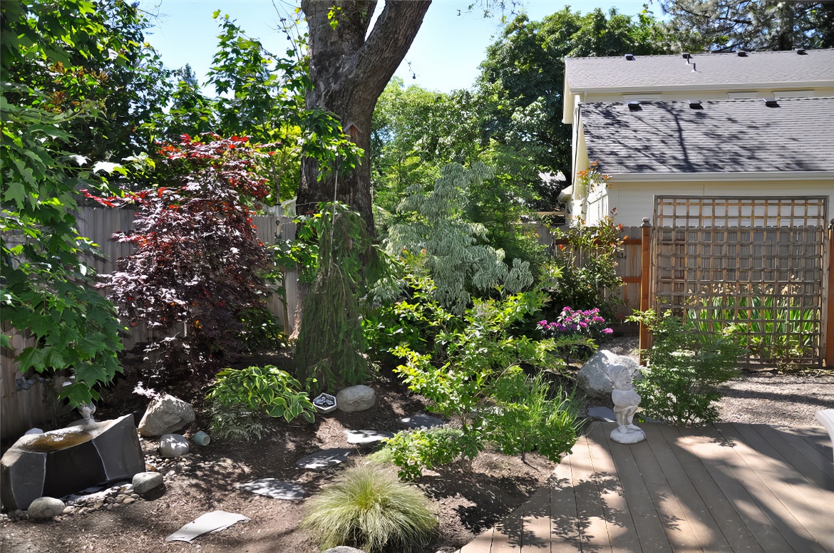 Corner of the Patio