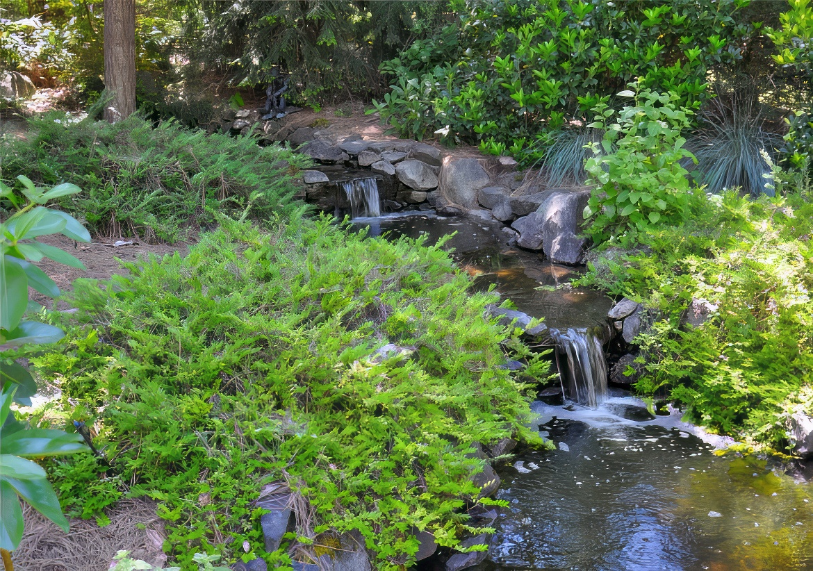 Small Creek and Waterfall