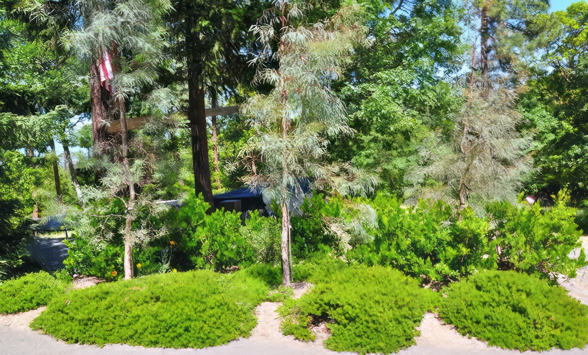 Flag in the Forest