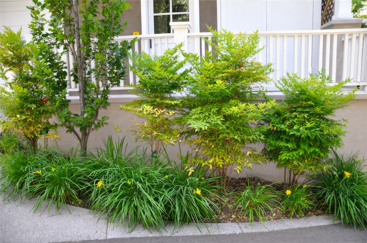 Edging Along Bannister