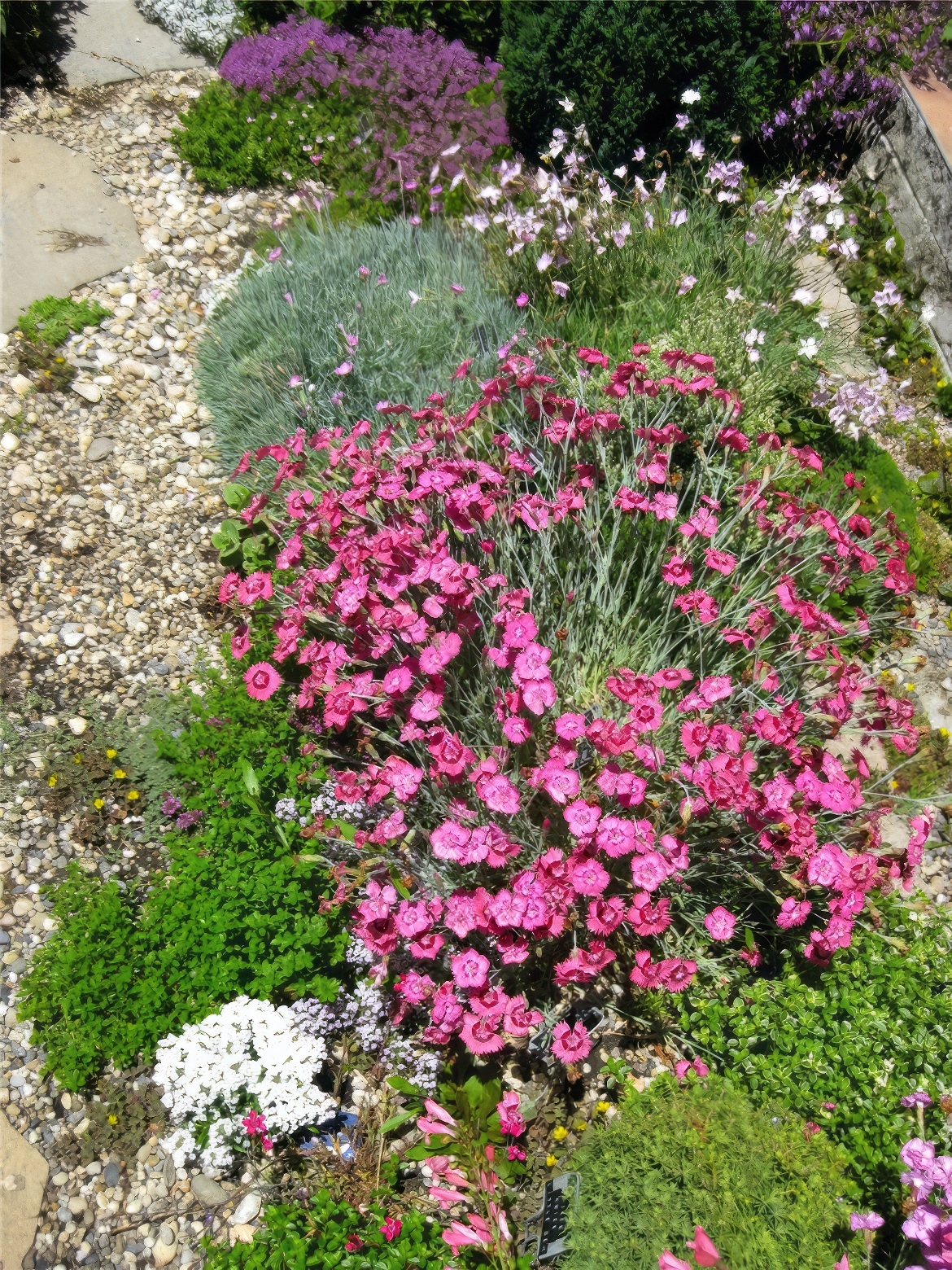 Color Border