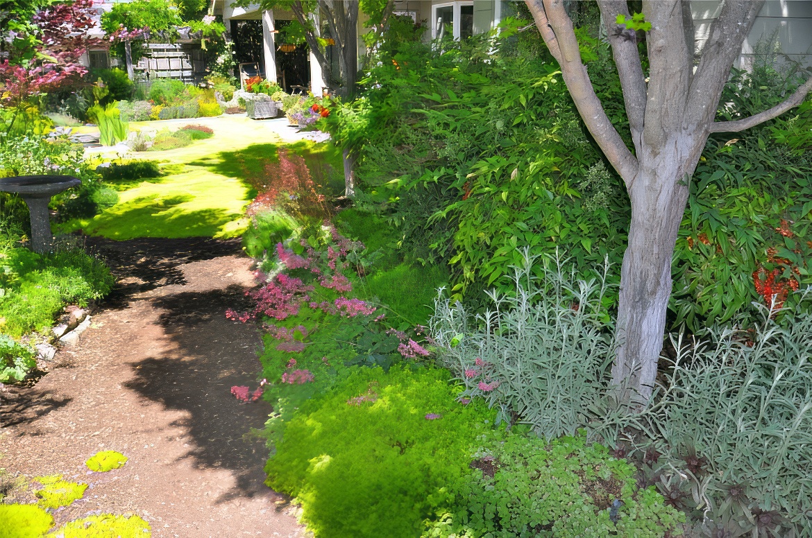 Walkway to Back Yard