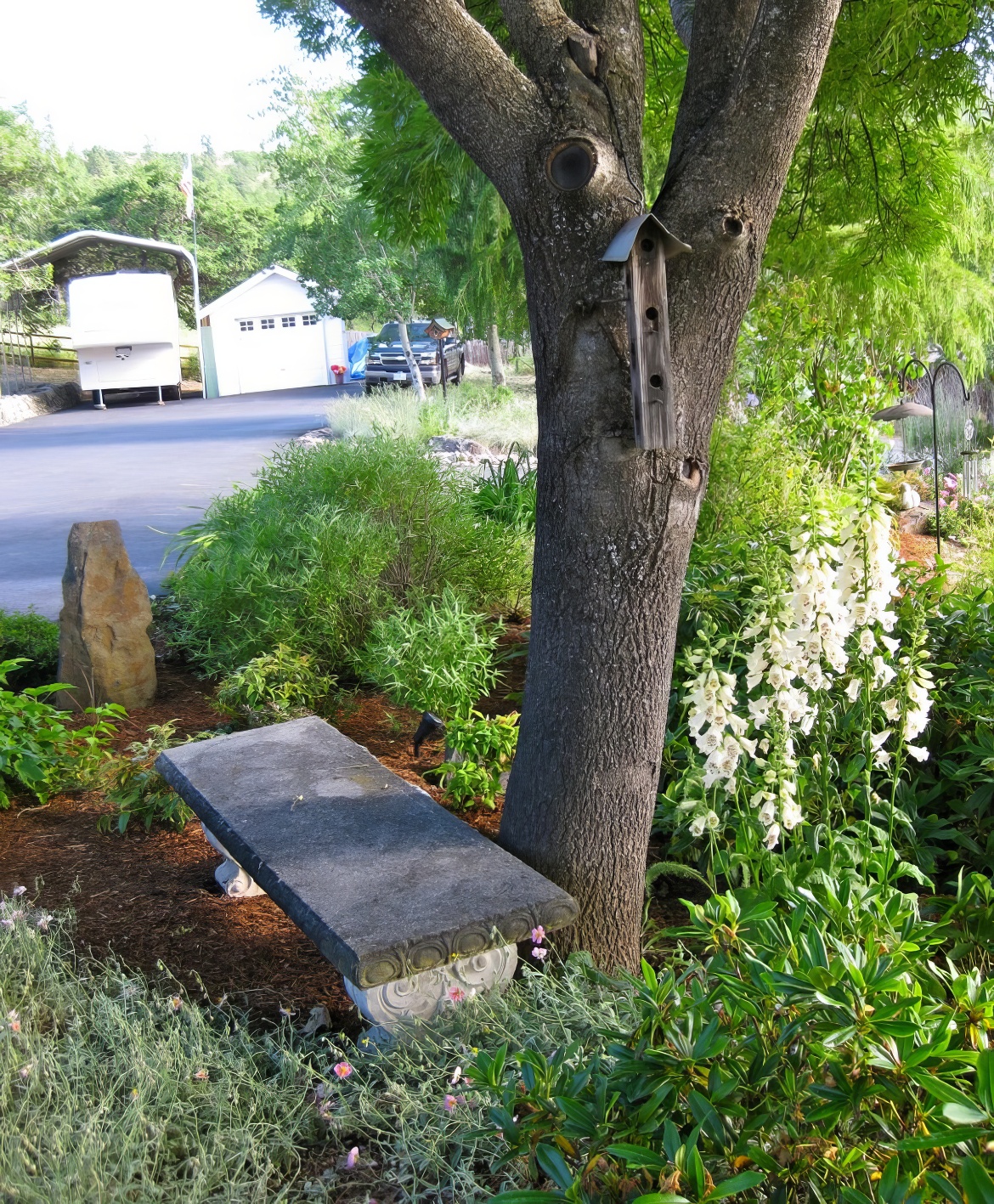 Front Yard Bench