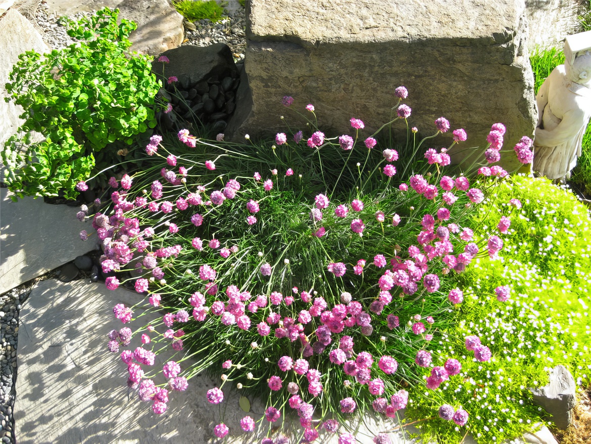 Plant Palette Near Steps