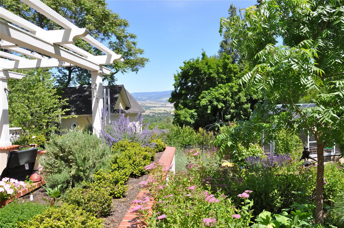 View From Back Yard