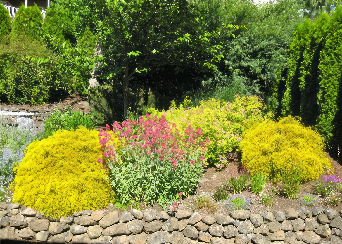 Color in the Garden
