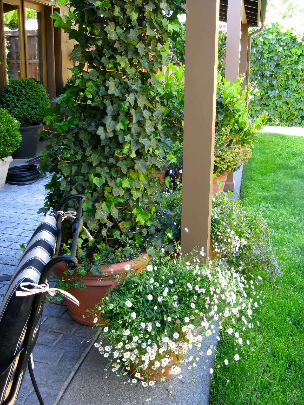 Patio and Pots