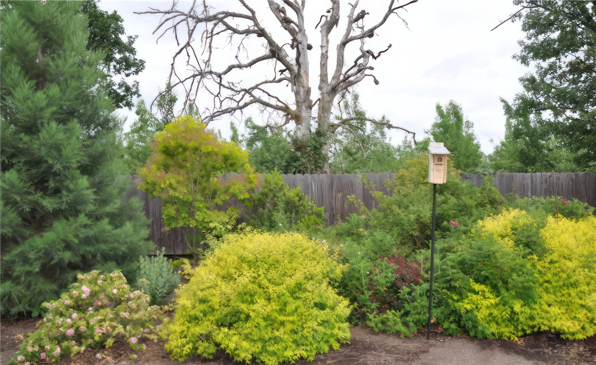 Bird House Among Shrubs