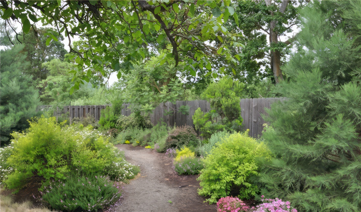 Path Through the Forest