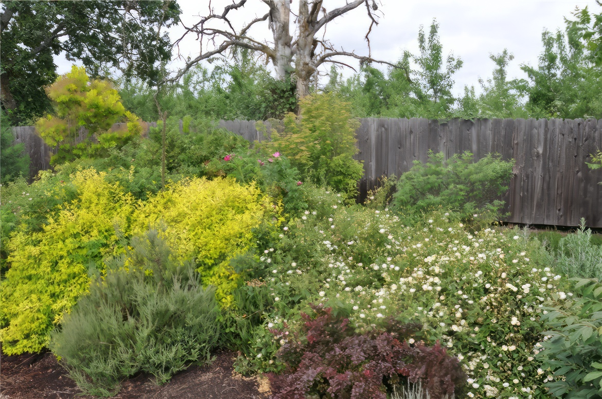 Lush Perennial Border