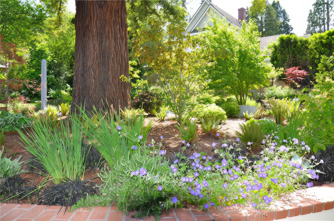 Tree and Perennials