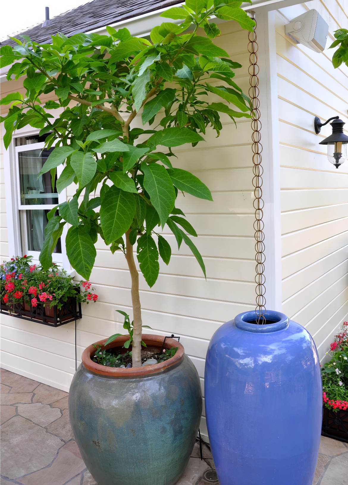 Blue Pots