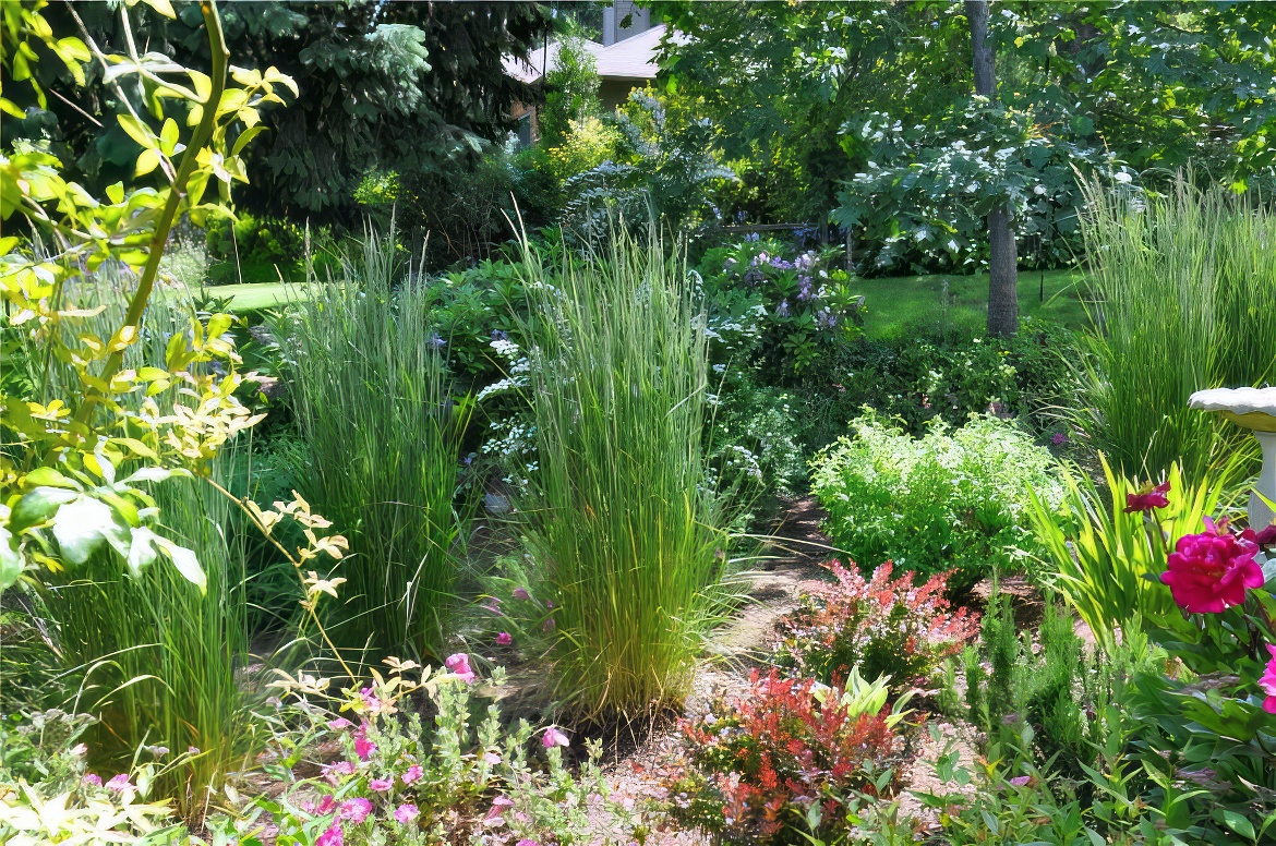 Ornamental Grasses and Friends