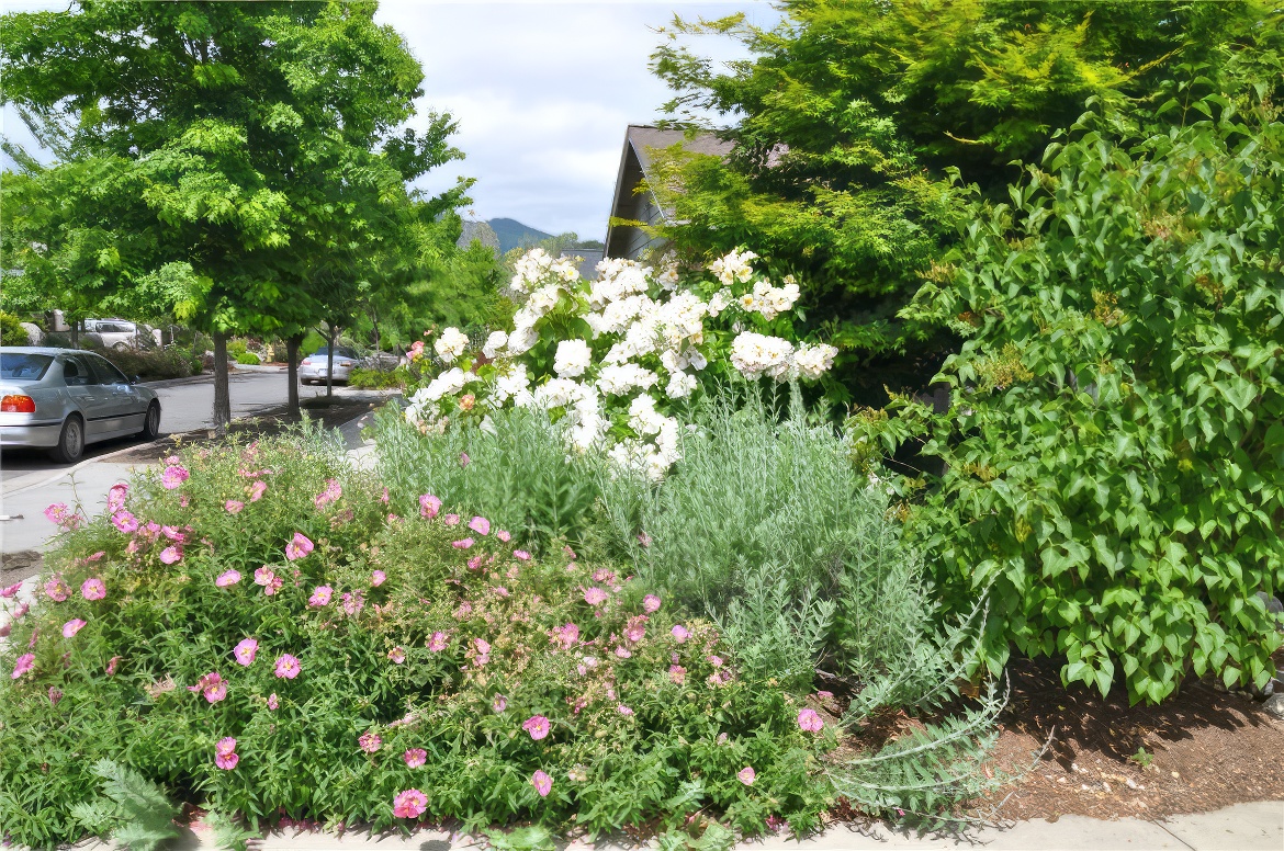 Shrub Fence